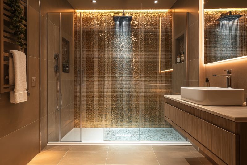 Modern Shower Installation